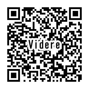 VIDERE